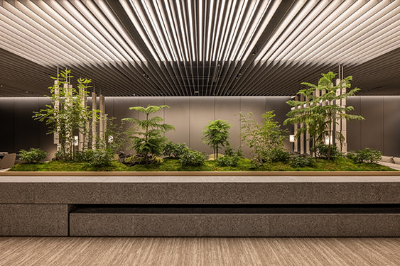 ラウンジ中央に設けられた植栽エリア。多様な緑が共存し、都市の中に自然を感じさせるランドスケープ。